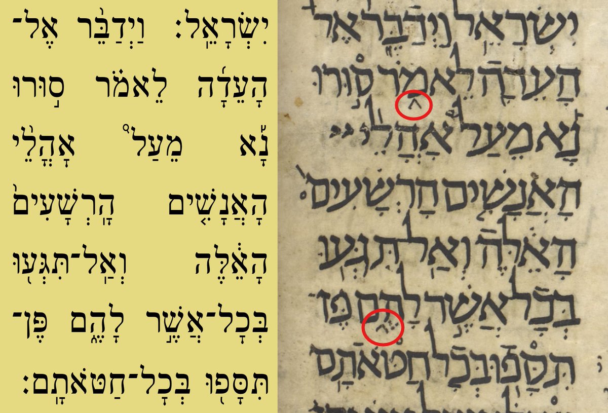 Ben Denckla tweet media