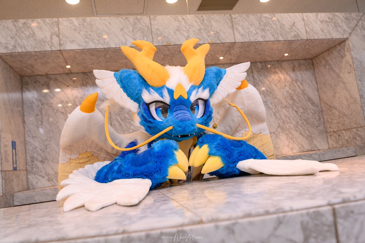 🪽天藍・オイカゼ🔜非公開 tweet media