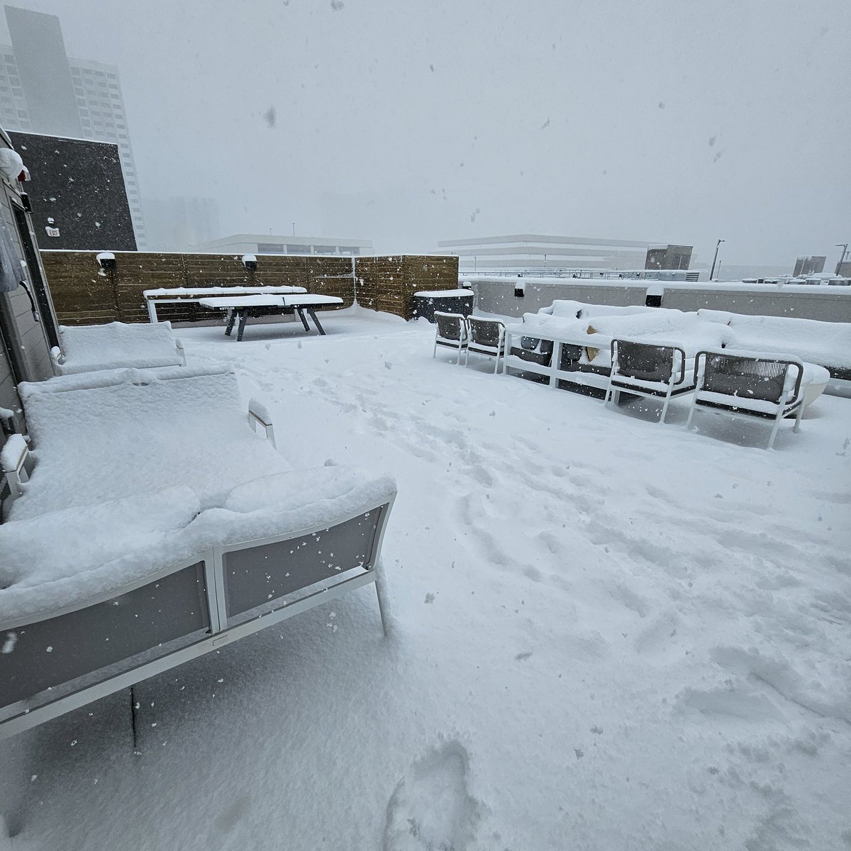 P⚔️⚔️M tweet media