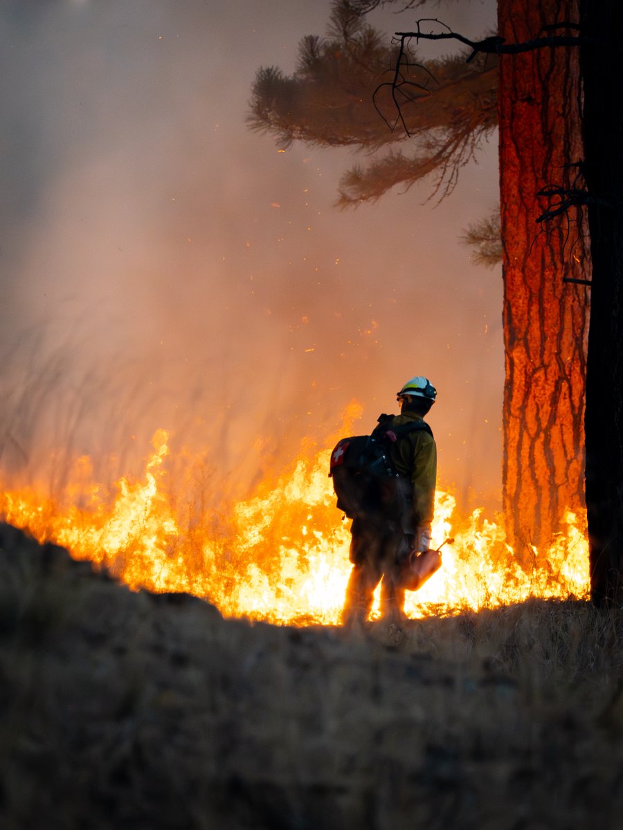 USWFS's tweet image. Wildland firefighting is demanding work. Long hours on the fireline, high-stress environments, and extended time away from family can take a toll on both physical and mental health. 

That’s why we’re committed to investing in a comprehensive approach to firefighter health and