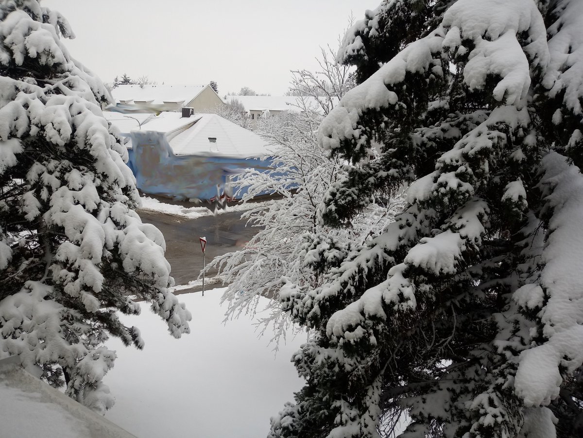 Heidelinde Lindorfer | Textperfekt tweet media