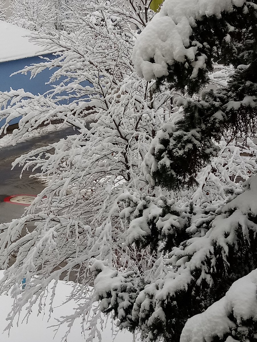 Heidelinde Lindorfer | Textperfekt tweet media