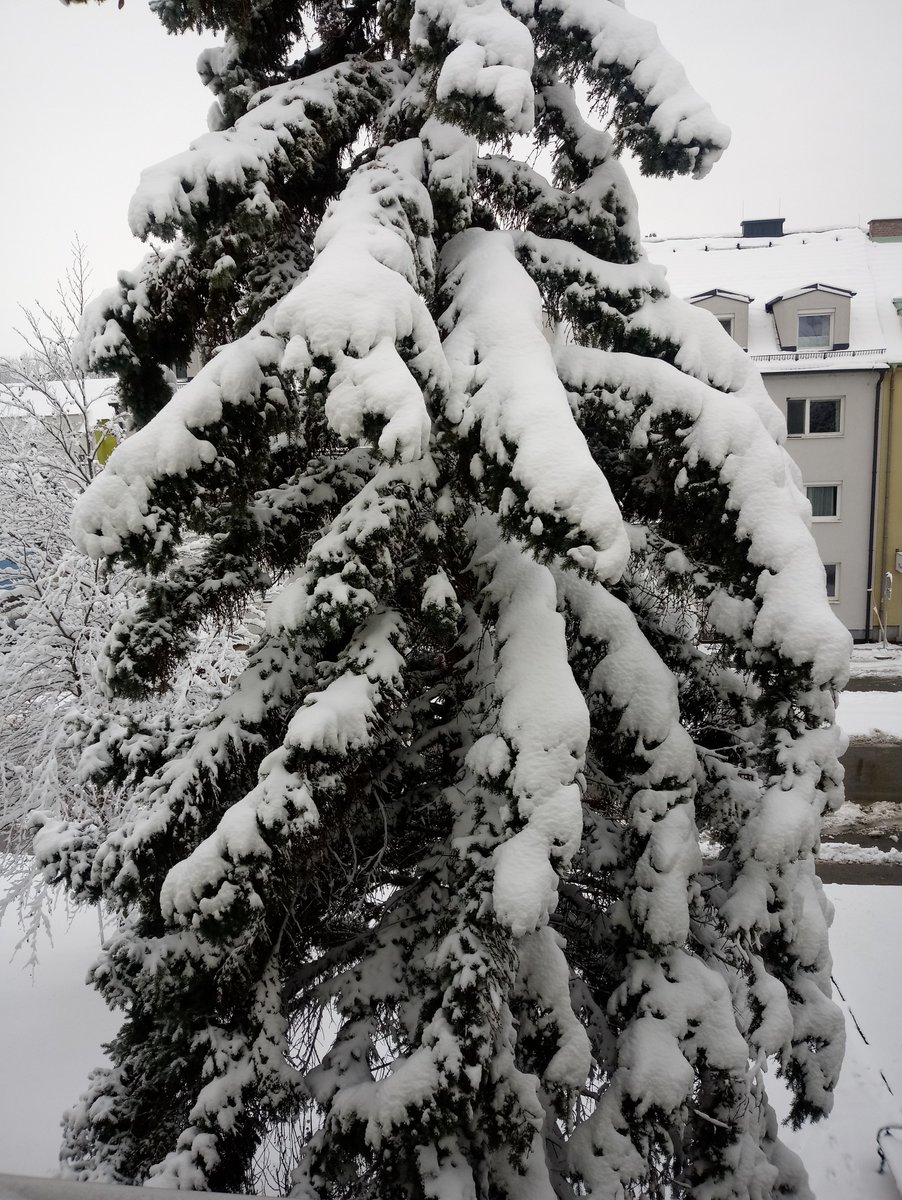 Heidelinde Lindorfer | Textperfekt tweet media