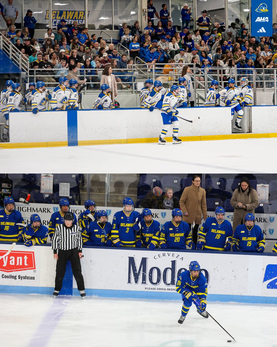 Delaware Ice Hockey tweet media