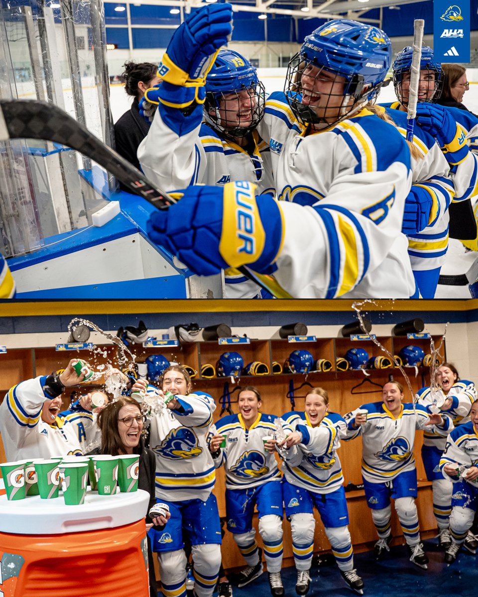 Delaware Ice Hockey tweet media