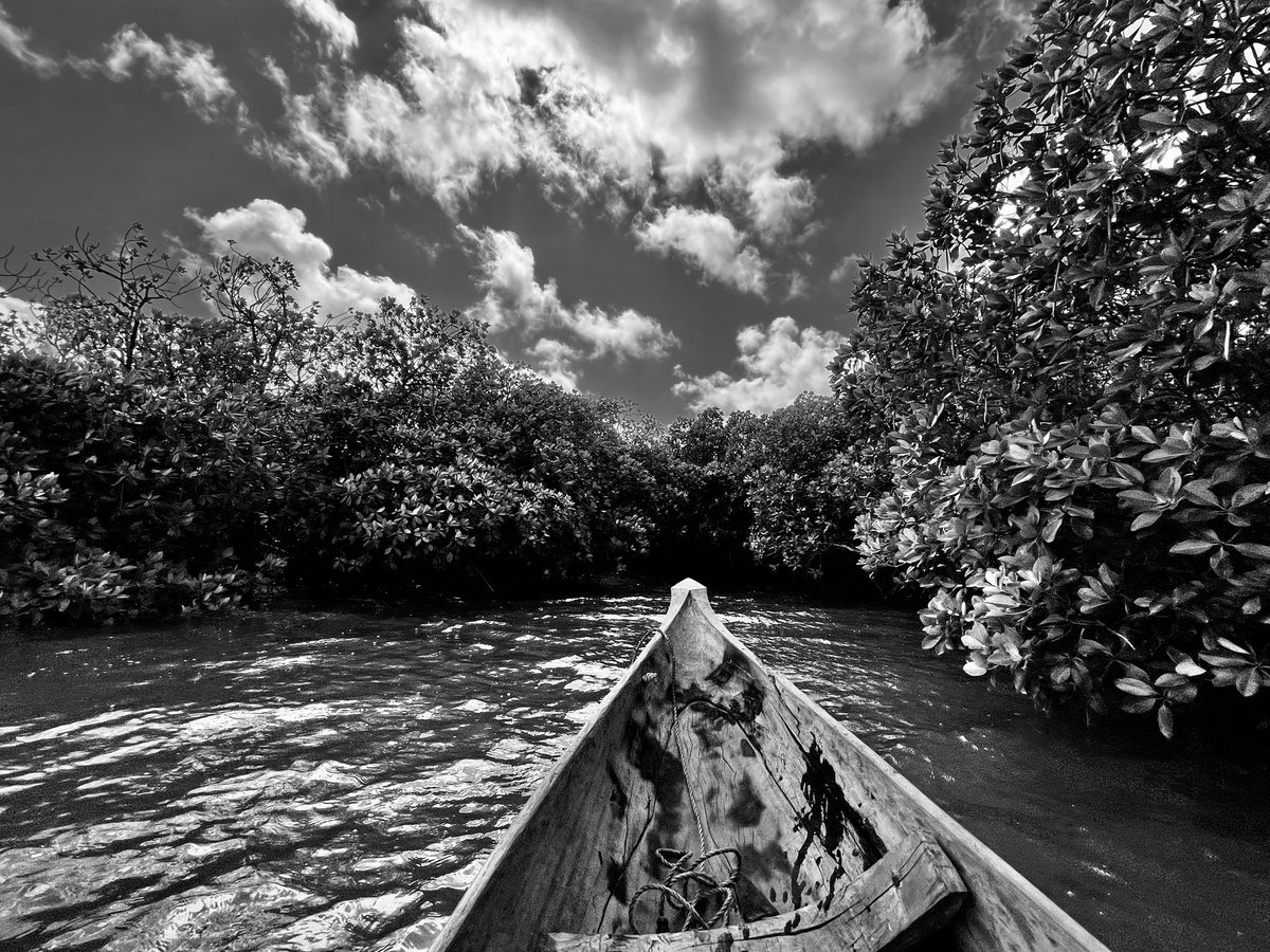 Mialy Razafintsalama tweet media