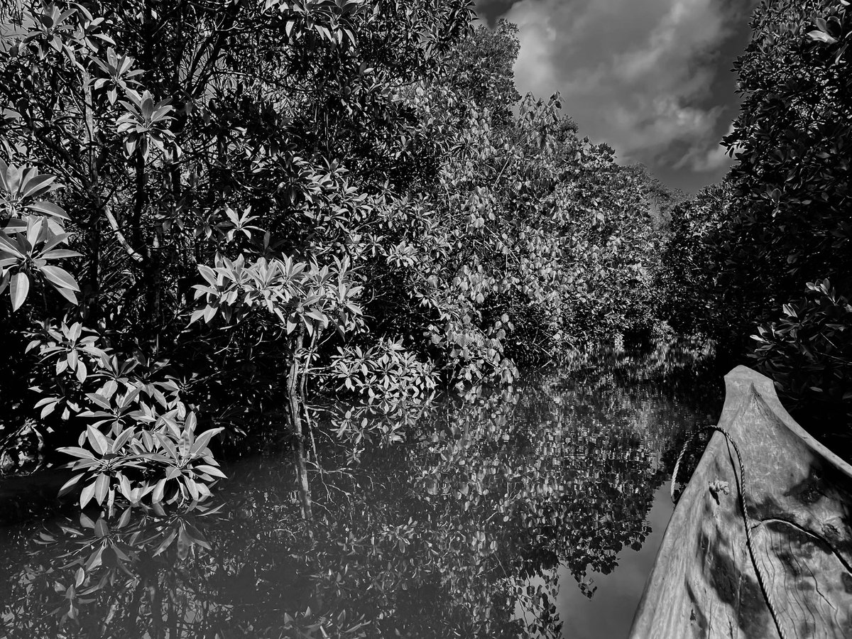 Mialy Razafintsalama tweet media