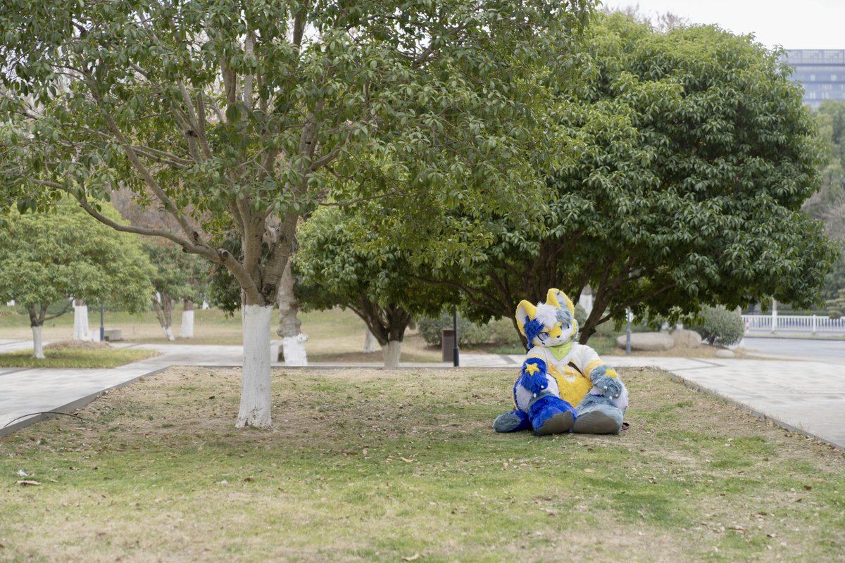 白星用交流电机 tweet media