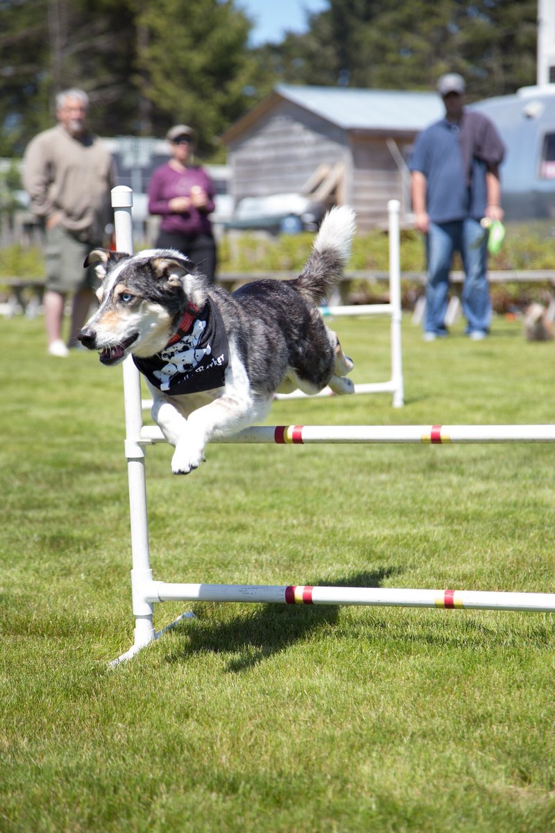 The Jolly Barker tweet media