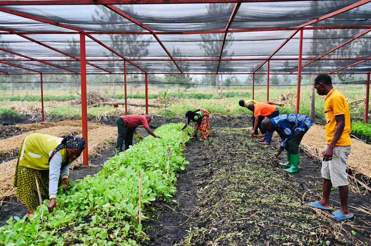 Through FH’s ‘saving to invest’ approach, the Tuzamure Ubuhinzi cooperative was empowered by FH Rwanda to gain knowledge on saving and doing business. Today, it is living out asset creation, one of our Areas of Flourishing. This shows that SIF is more than just a financial model.