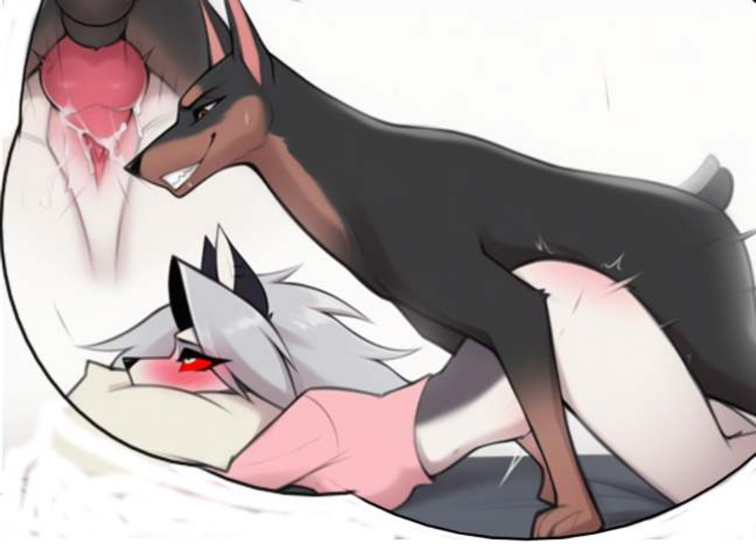 𝐃𝐨𝐠𝐠𝐲 𝐇𝐨𝐮𝐧𝐝𝐨𝐨𝐦 tweet media