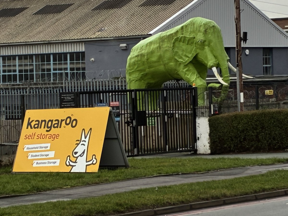 davidhunt61's tweet photo. I’ve never actually seen a kangaroo in real life but I’m pretty sure that’s not an accurate representation https://t.co/6BY9T9ieLm
