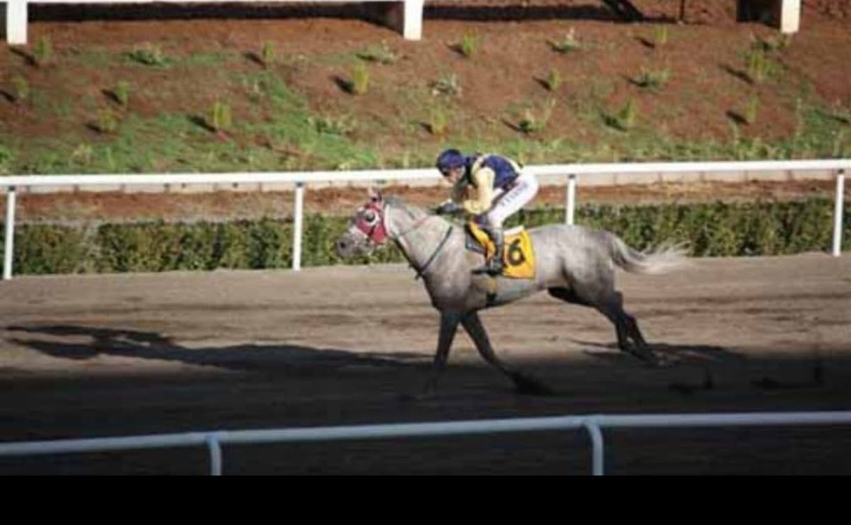 gnocchi🎙️💫 tweet media