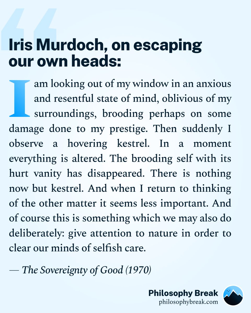 Philosophy Break tweet media