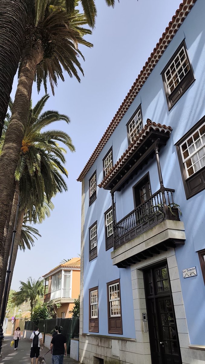 TF | Mobula tweet media