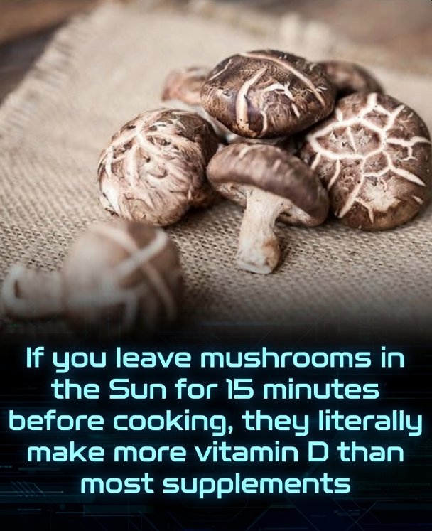 Rainmaker1973's tweet photo. A simple kitchen trick can transform ordinary mushrooms into a rich, natural source of vitamin D: just expose them to direct sunlight for about 15 minutes (or up to 60 minutes for even higher yields).

Common varieties like button mushrooms (Agaricus bisporus) contain high levels of ergosterol, a sterol that acts as a precursor to vitamin D2 (ergocalciferol). When exposed to UV-B rays from sunlight, ergosterol undergoes a photochemical conversion similar to how human skin produces vitamin D3 from sunlight. This process dramatically boosts the mushrooms' vitamin D content with minimal effort.

For optimal results, slice the mushrooms to increase surface area, arrange them gills-up on a tray, and place them in direct midday sun (ideally between 10 a.m. and 3 p.m.) on a clear or partly cloudy day. Studies show that even 15 minutes of such exposure can elevate vitamin D2 levels significantly—for instance, sliced button mushrooms can reach around 17.5 μg/100 g fresh weight (about 700 IU) in summer midday conditions, often surpassing 100% of the daily recommended intake (typically 10–15 μg or 400–600 IU for adults, depending on guidelines). Longer exposure (e.g., 60 minutes) can push levels higher, up to 32.5 μg/100 g or more, far exceeding many commercial supplements.

This method works reliably under various conditions: on overcast days, 15 minutes might yield more modest gains (around 13–30% of daily needs per serving), but extending to 60 minutes can match clear-day results. The enhanced vitamin D2 remains stable during cooking, refrigeration (up to about 8 days), and digestion, and clinical research confirms that consuming these sun-treated mushrooms raises blood vitamin D levels effectively—comparable to supplements—especially in people with low baseline status.

This low-cost, plant-based approach is particularly valuable for vegans, vegetarians, or anyone in low-sunlight regions, turning a everyday ingredient into a potent superfood that supports immune function, bone health, and overall wellness without relying on fortified products or pills.

[National Institutes of Health. Vitamin D Fact Sheet for Health Professionals. Office of Dietary Supplements]