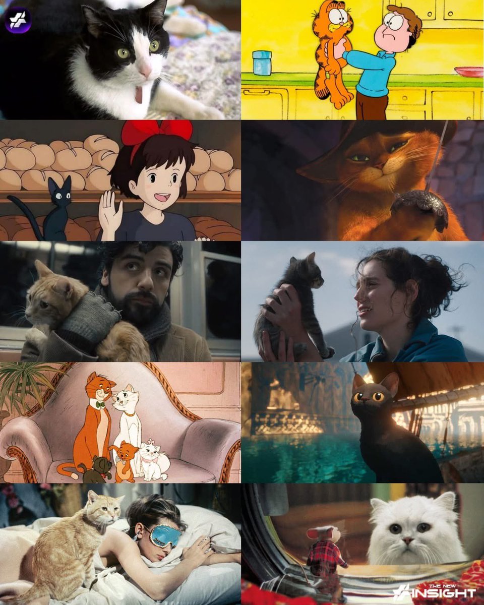 #DiaInternacionalDelGato 🐾 🐈‍⬛