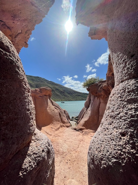 Jennifer Lane tweet media