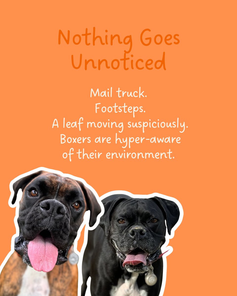 Lillie and Cain traveling the world tweet media