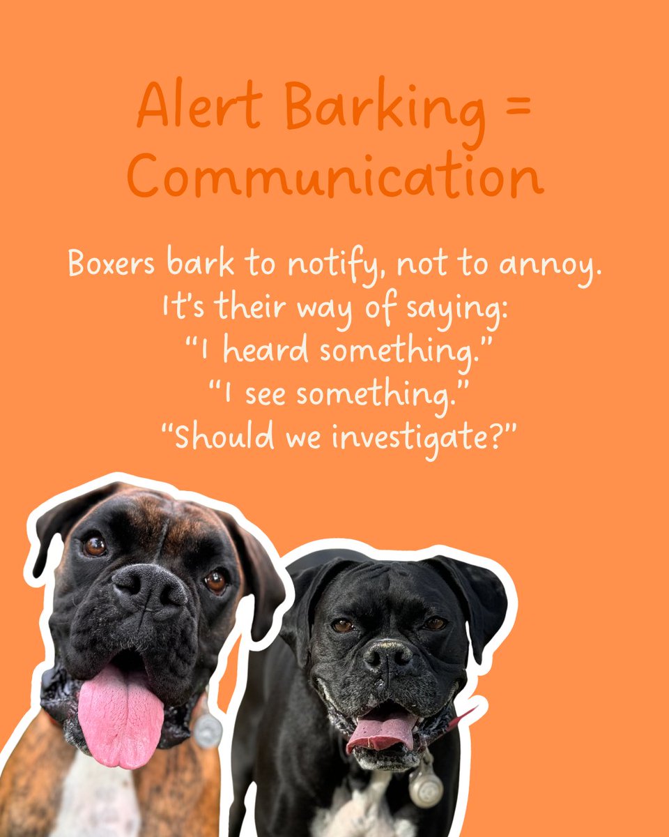 Lillie and Cain traveling the world tweet media