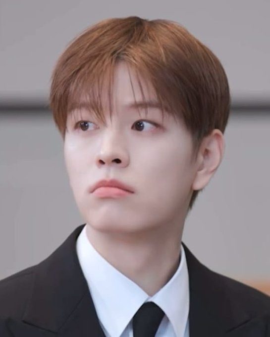 seungmin as bunnies tweet media