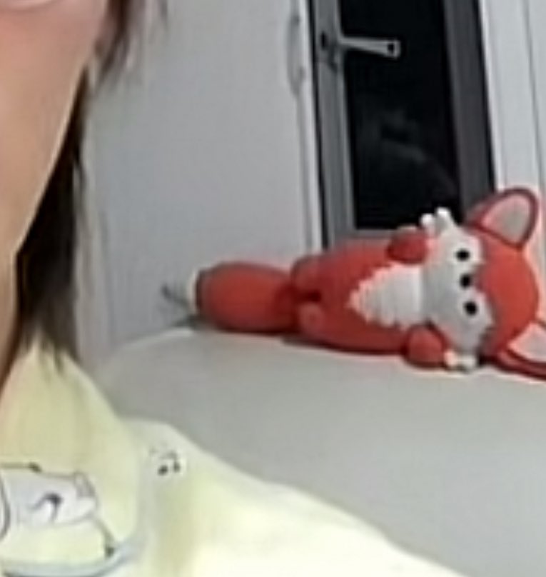 น้องก้องมาไลฟ์ในตตกับเเพท 
เเอบเห็นตุ๊กตาจิ้งจอกด้วยเเหะ🦊<3 #kongjiro