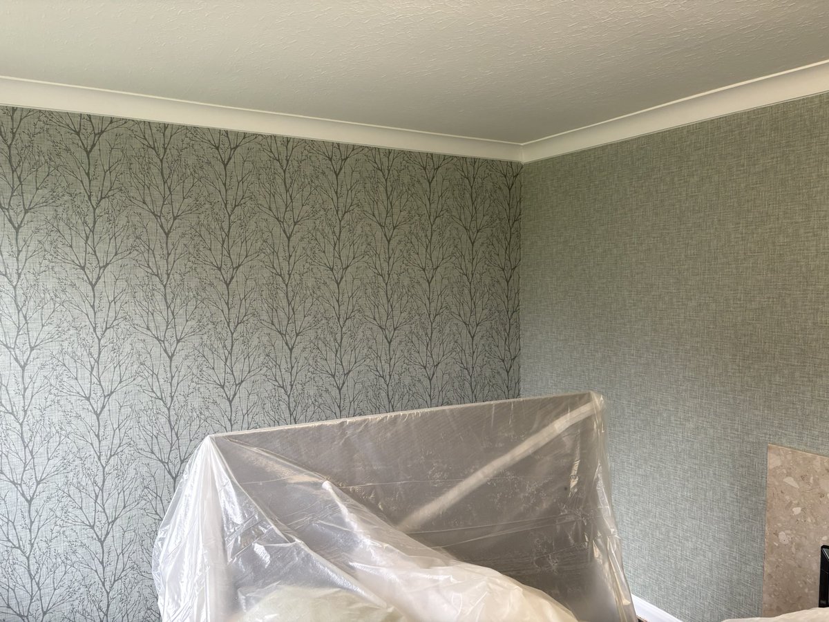 jpplastering_'s tweet photo. Completed today. Wallpaper stripped, walls made good and then ceiling and woodwork painted and walls re papered. https://t.co/pRfaDUXZ2R