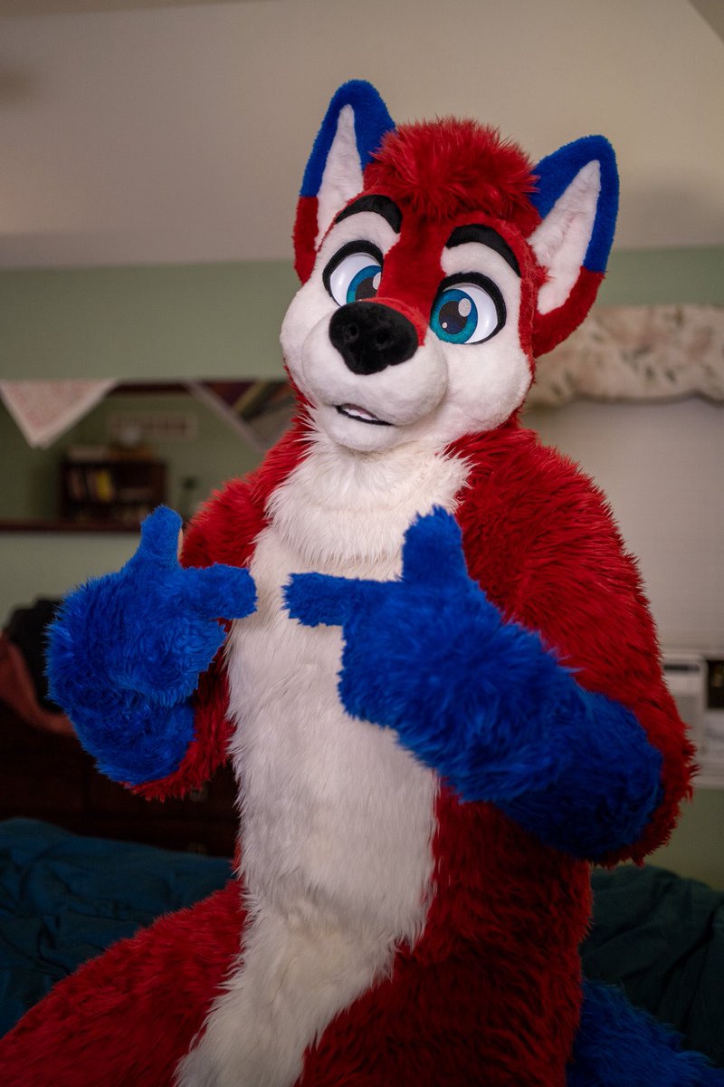 🐾Kojac🐾 tweet media