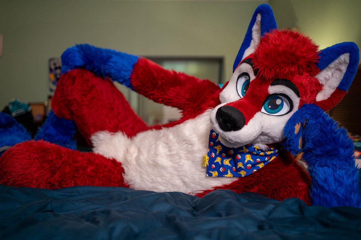 🐾Kojac🐾 tweet media