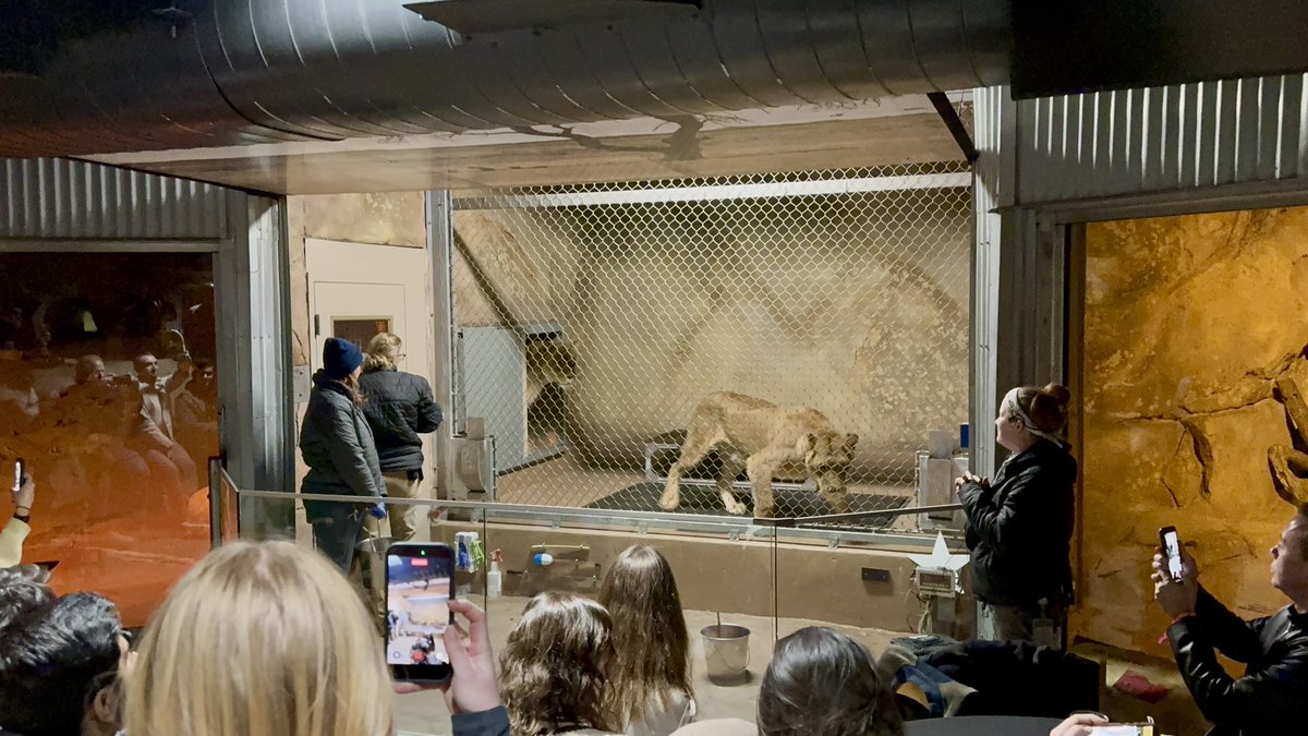 Stefano Bury 🇺🇸 tweet media