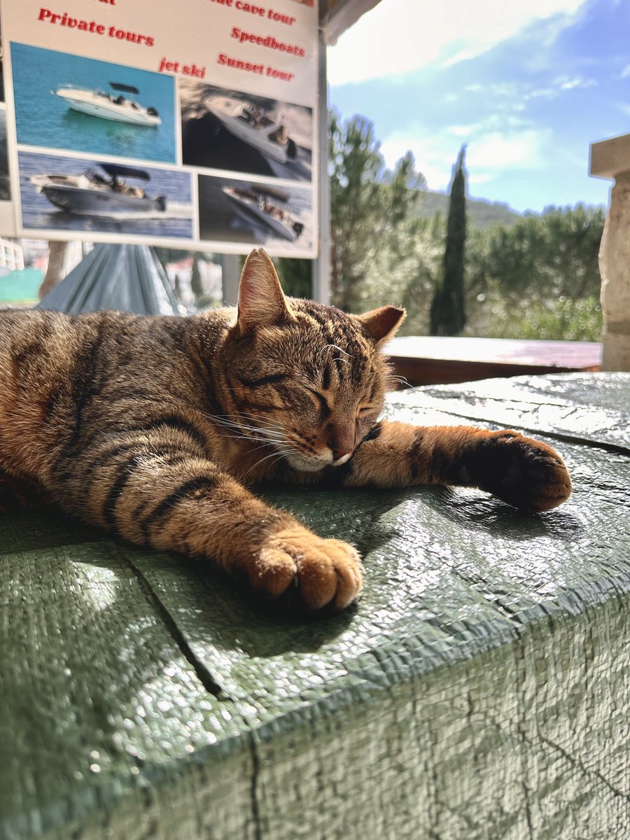 Today was a good day