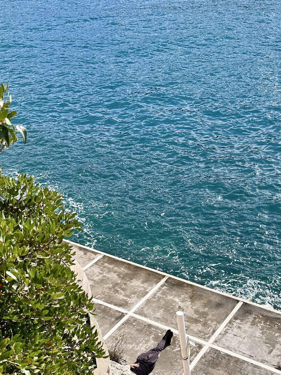 Steph 📸 (@vexanie) on Twitter photo 