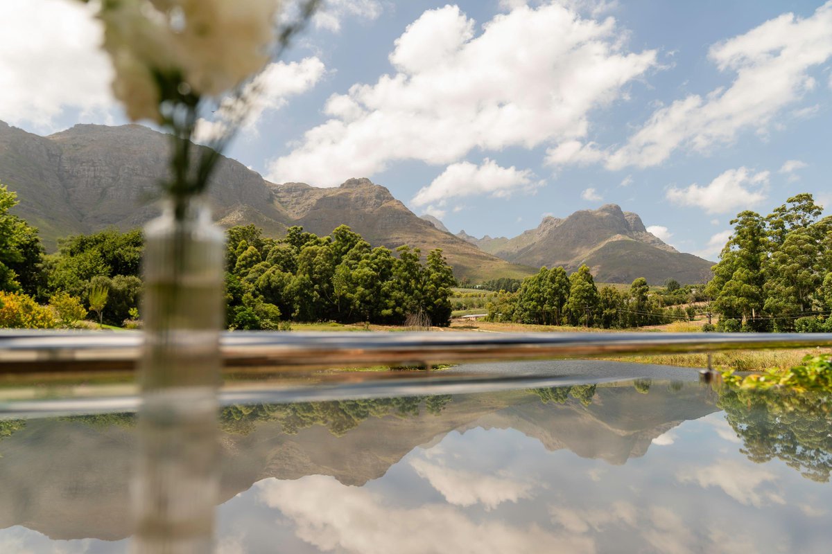 augusthottie.sui 💧 tweet media