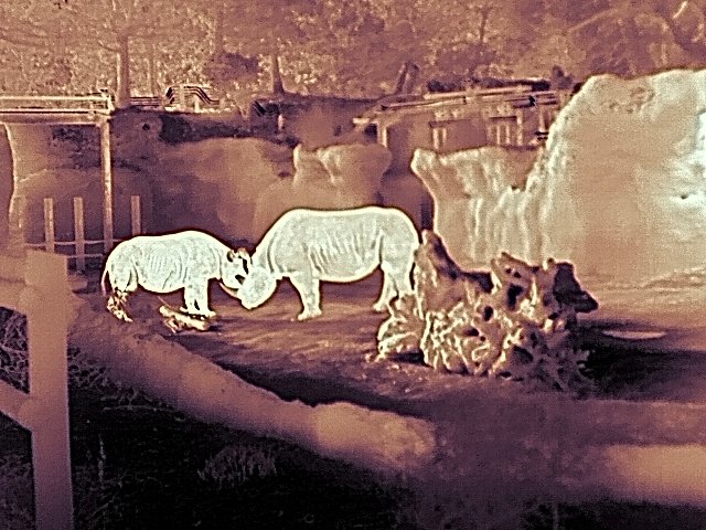 Teledyne FLIR tweet media