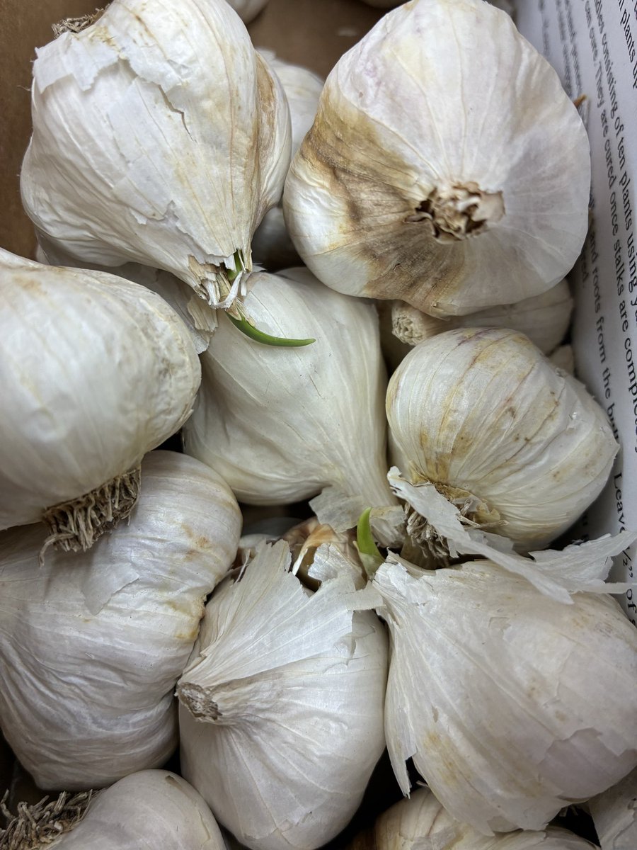 Cottin's Hardware tweet media