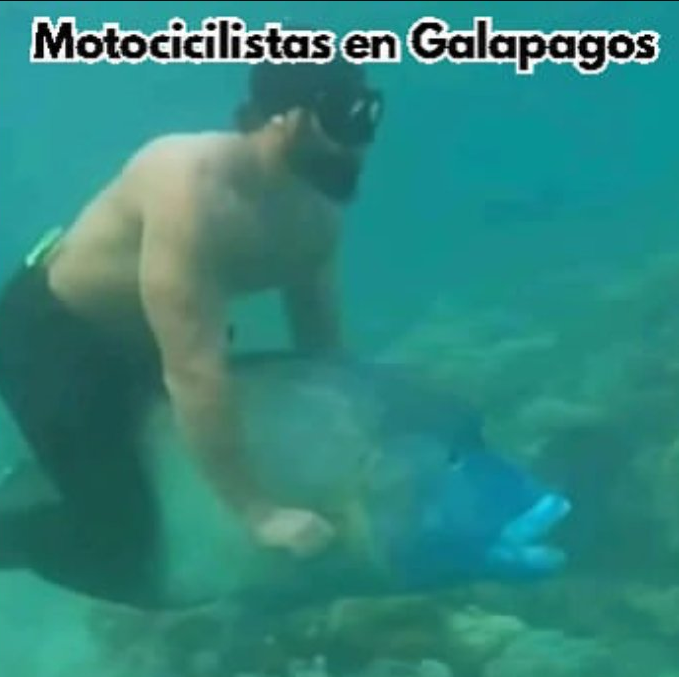 CJ (@ciyiei) on Twitter photo 