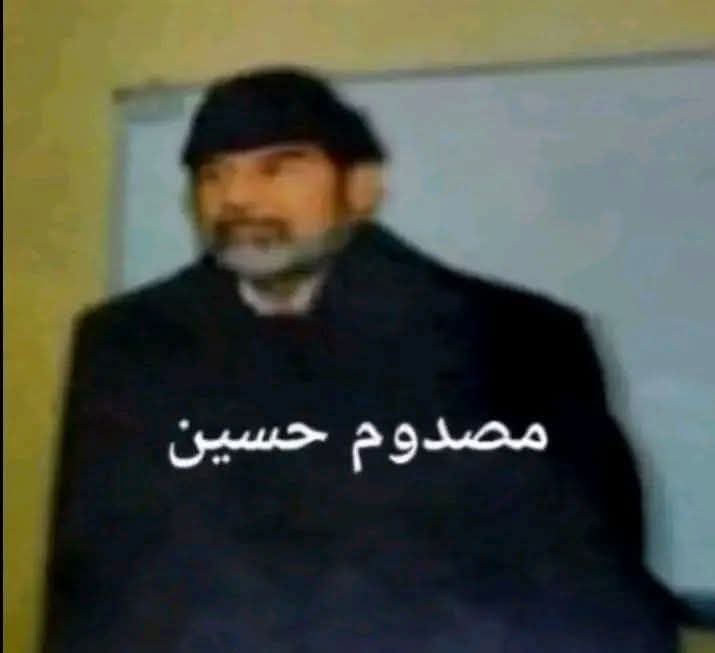 lazy owl (@lzyoll) on Twitter photo 