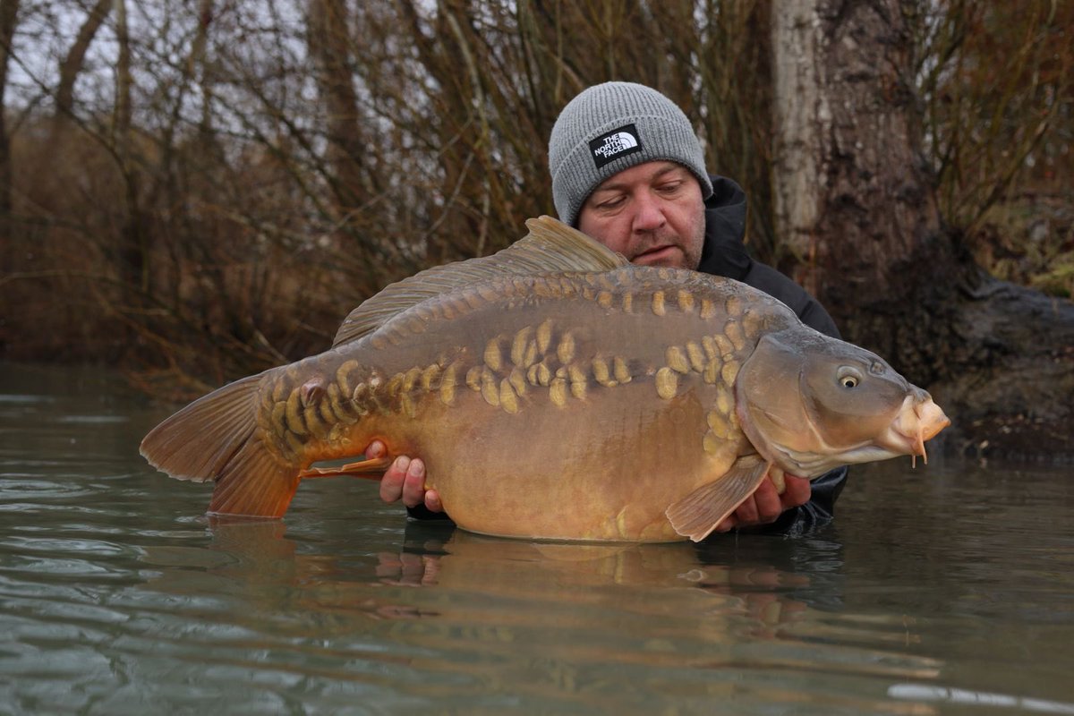 Mainline Baits Official tweet media