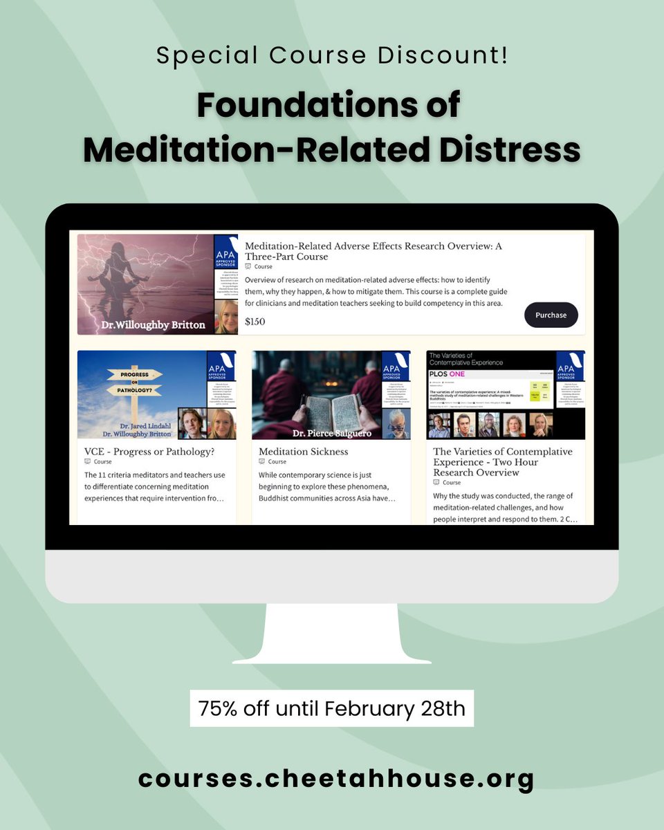 Cheetah House tweet media