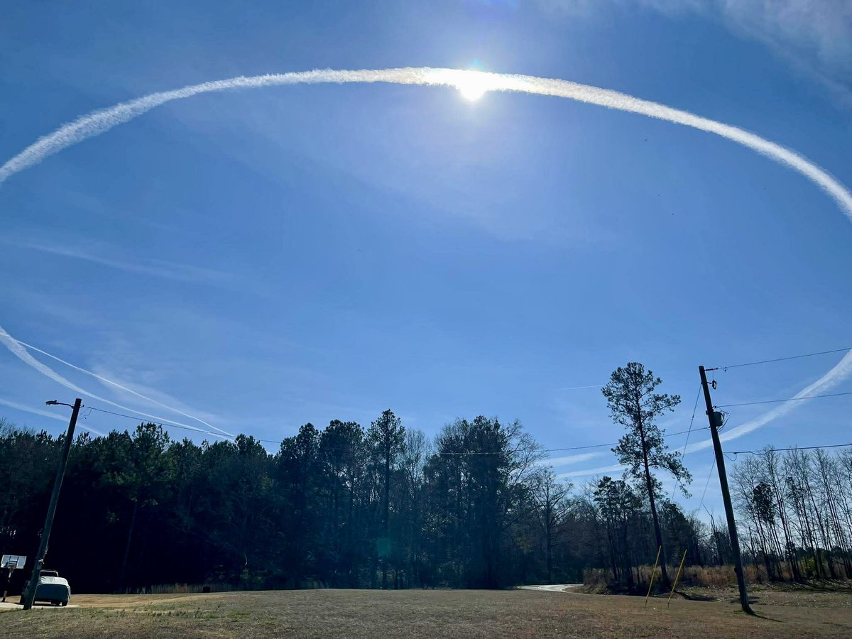 Cody Alcorn tweet media