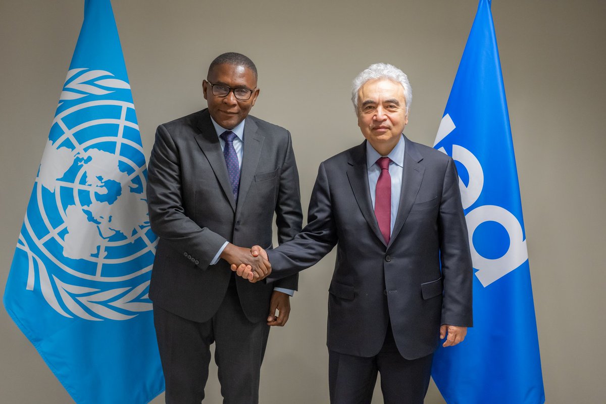 Fatih Birol tweet media