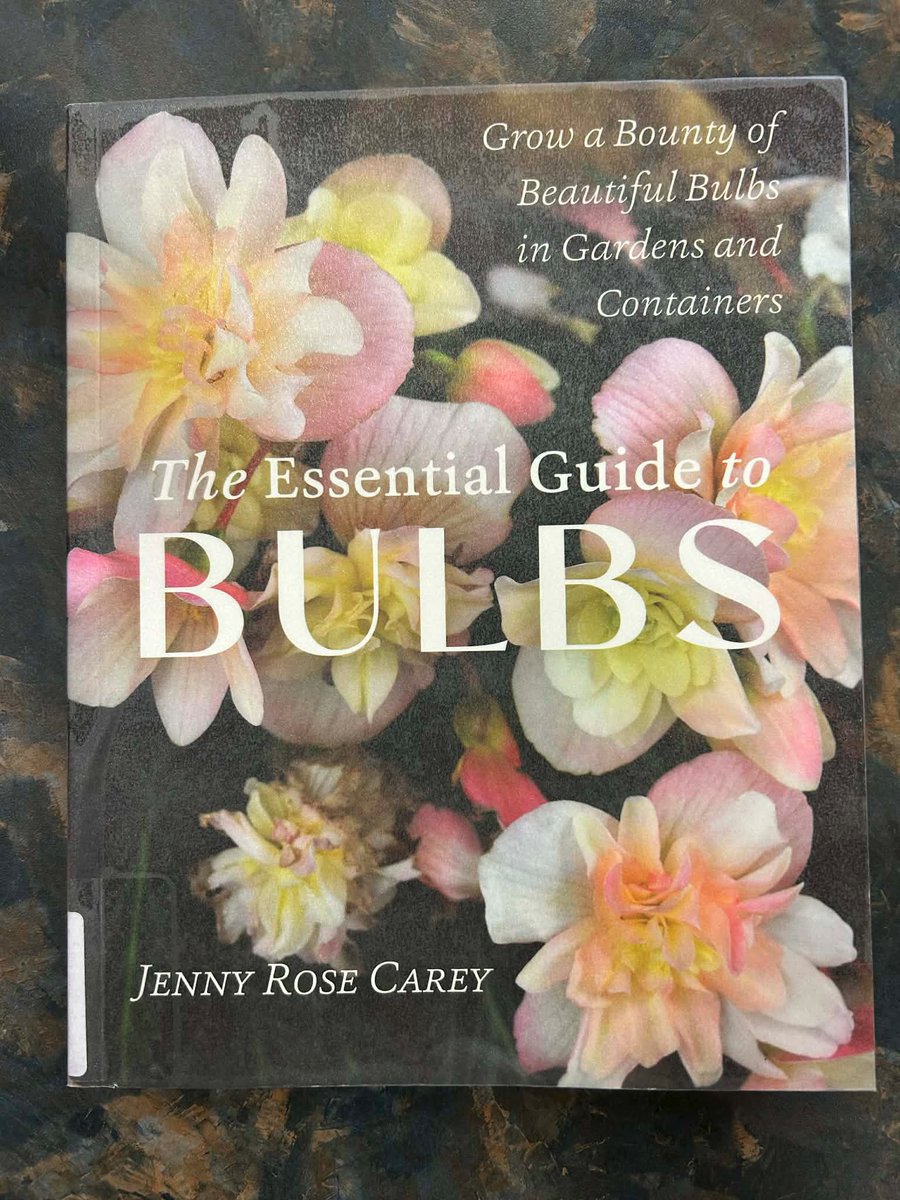 Cold Lake Library tweet media