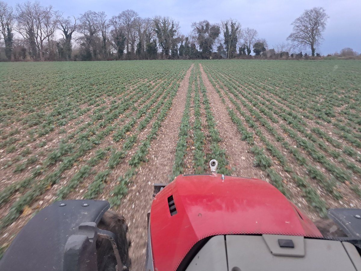 ChristopheB. tweet media