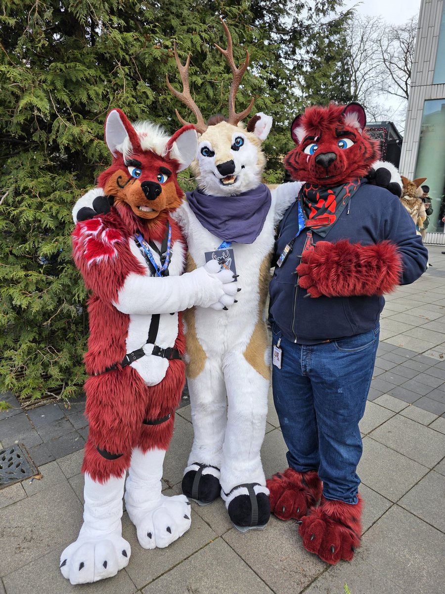 Adian Fangs tweet media