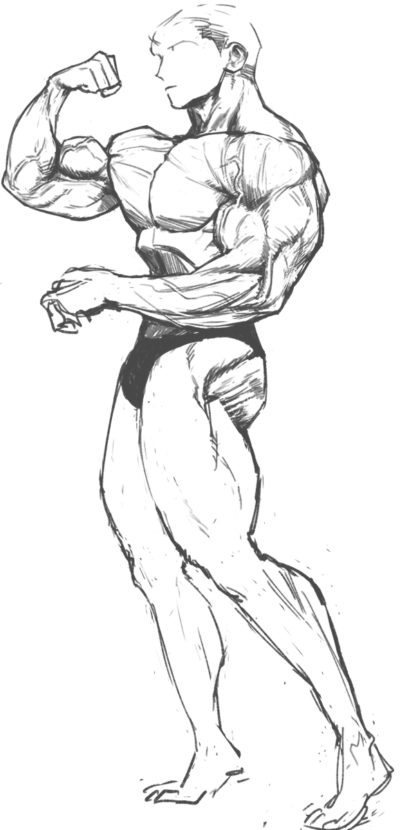 비늘돔 BNLDOM tweet media