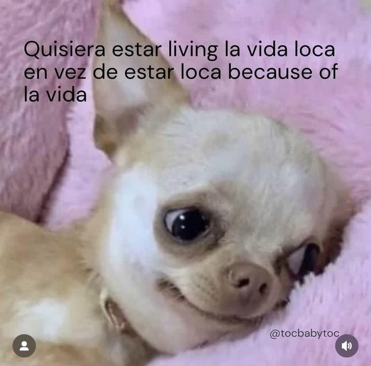 Pkittass (@pkittass) on Twitter photo 