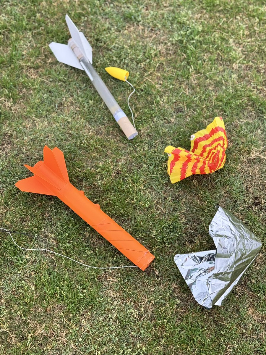 Megan Towle tweet media