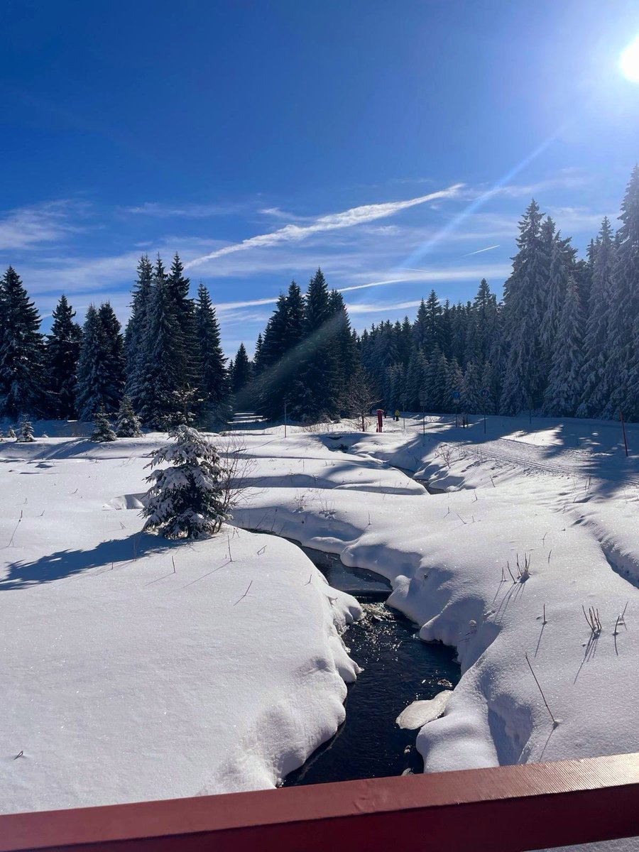 Červená jáma
Dnes krásných 25 km běžkování. Pěkné počasí a sníh je třeba využít  ⛷️