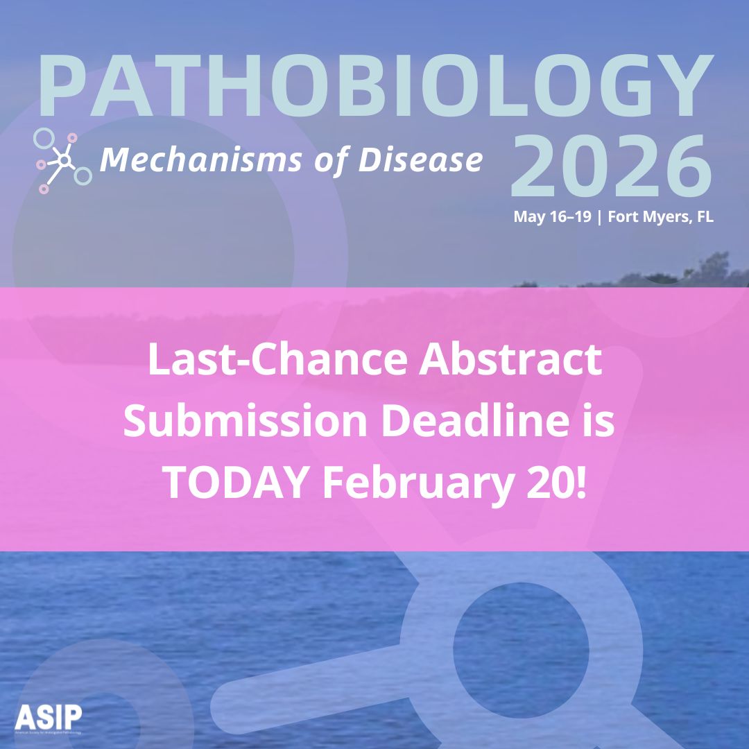 ASIPath's tweet photo. ⏳ LAST-CHANCE ABSTRACT DEADLINE TODAY! Submit by 11:59 PM ET https://t.co/B2giq1PNj7

#Pathobiology2026 #PathobiologyResearch #DiseaseMechanisms https://t.co/n08Hve09Ur