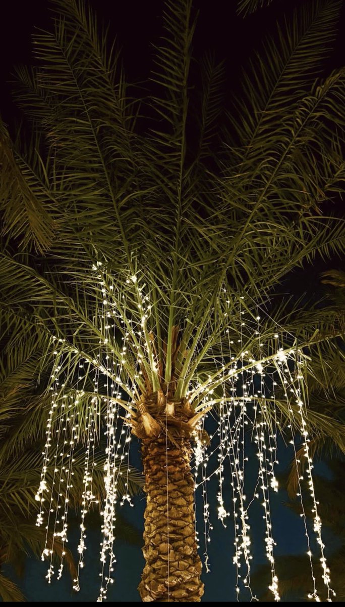 خالد tweet media